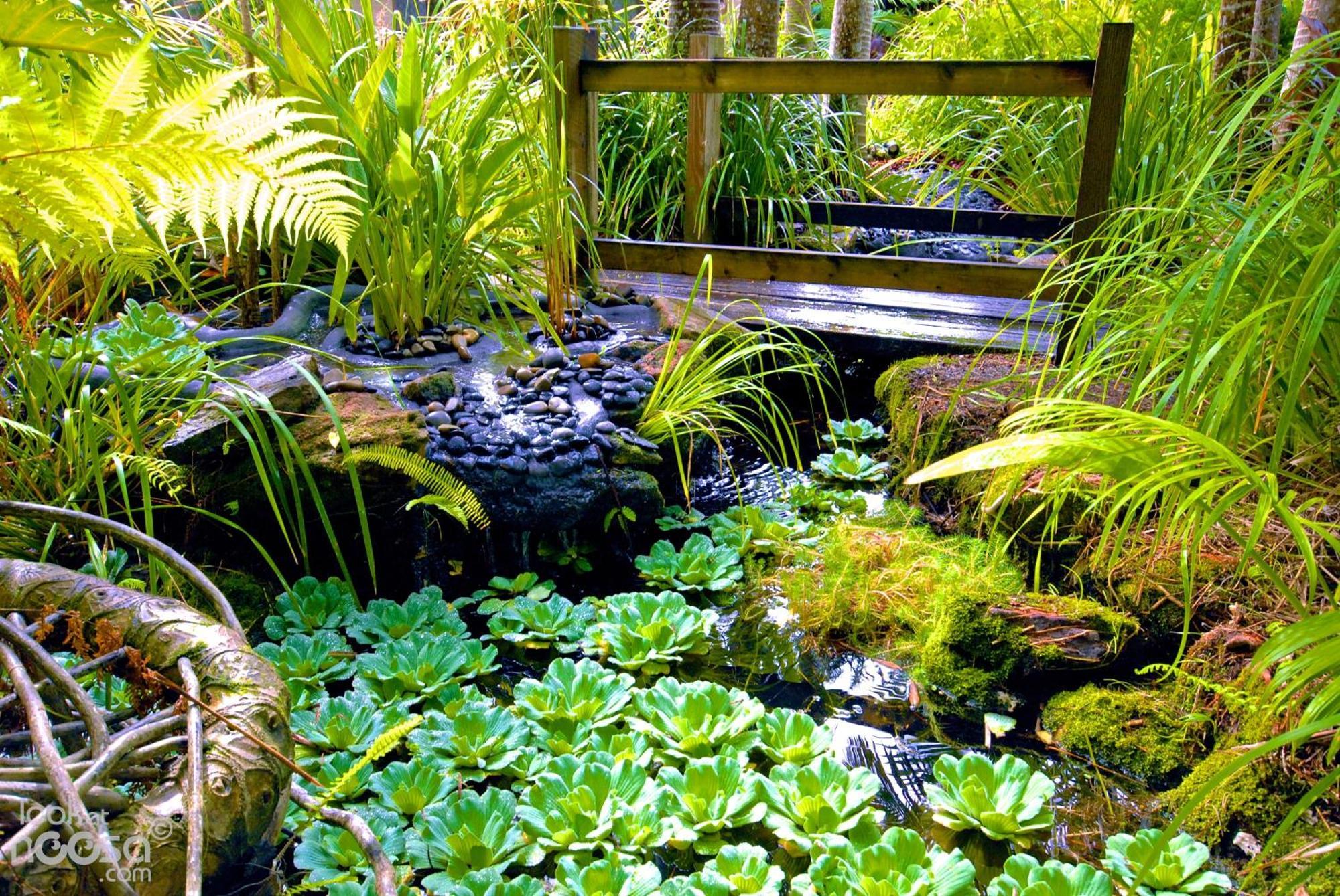 Noosa Village River Resort Noosaville Dış mekan fotoğraf